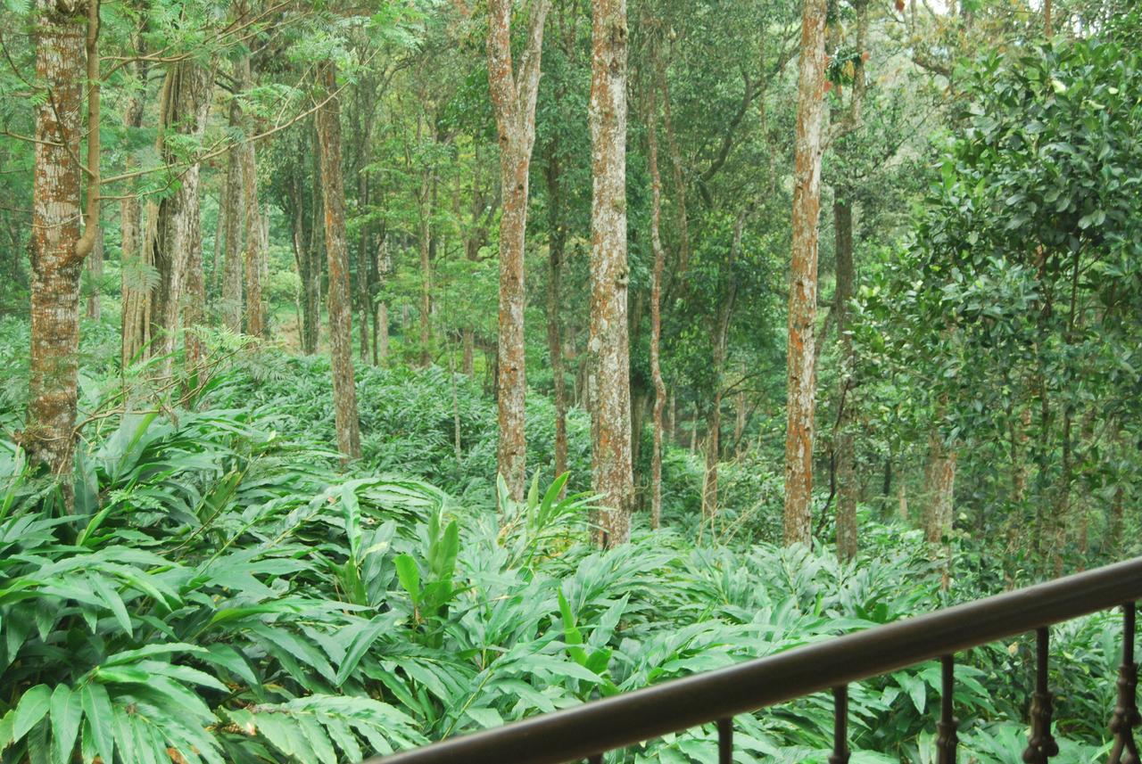 T Cherry Villa Munnar Exterior photo